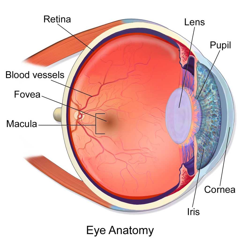 Eye specialist in lucknow